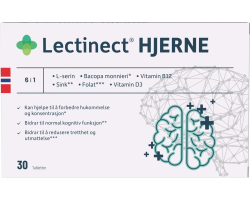 Lectinect Hjerne
